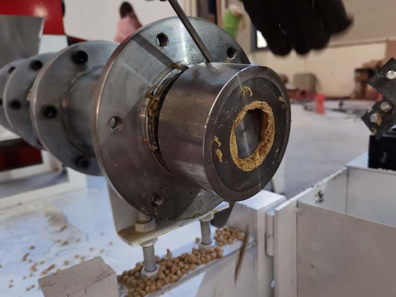 Vietnam dog twin screw extruder machine